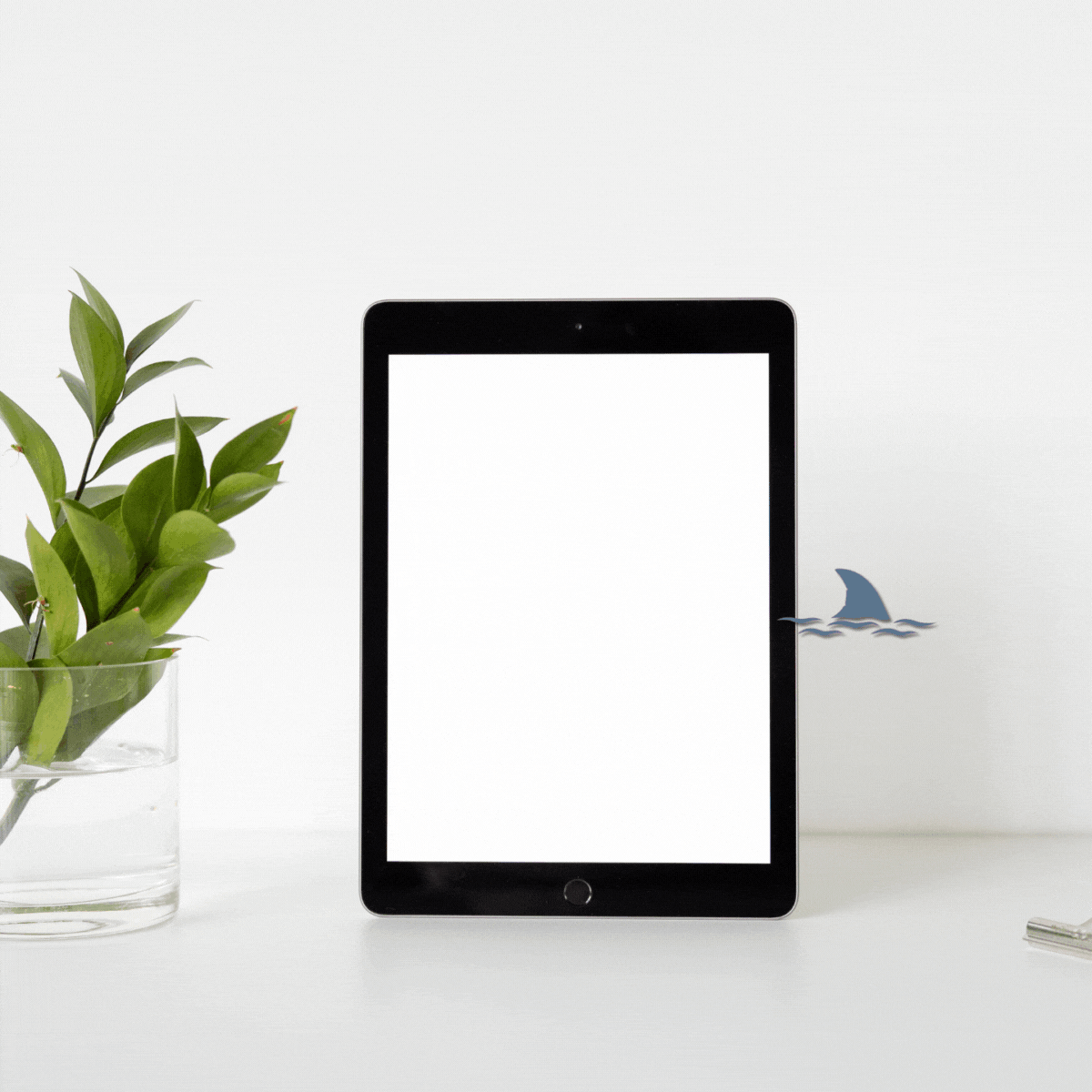 Sunset Shark Resume + Cover Letter Template Pack