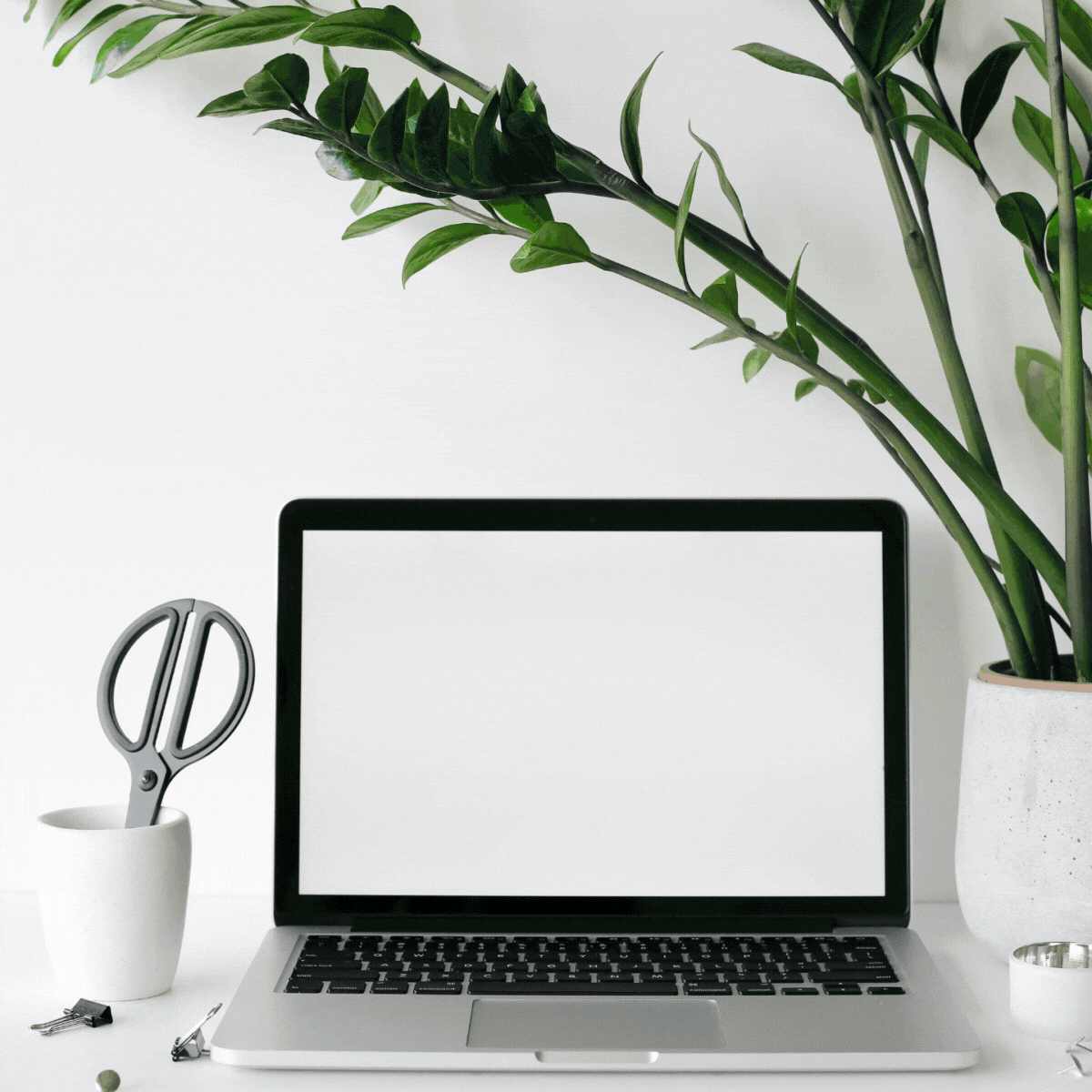 Palm Shark Single Page Resume Template + Career Tools Bundle